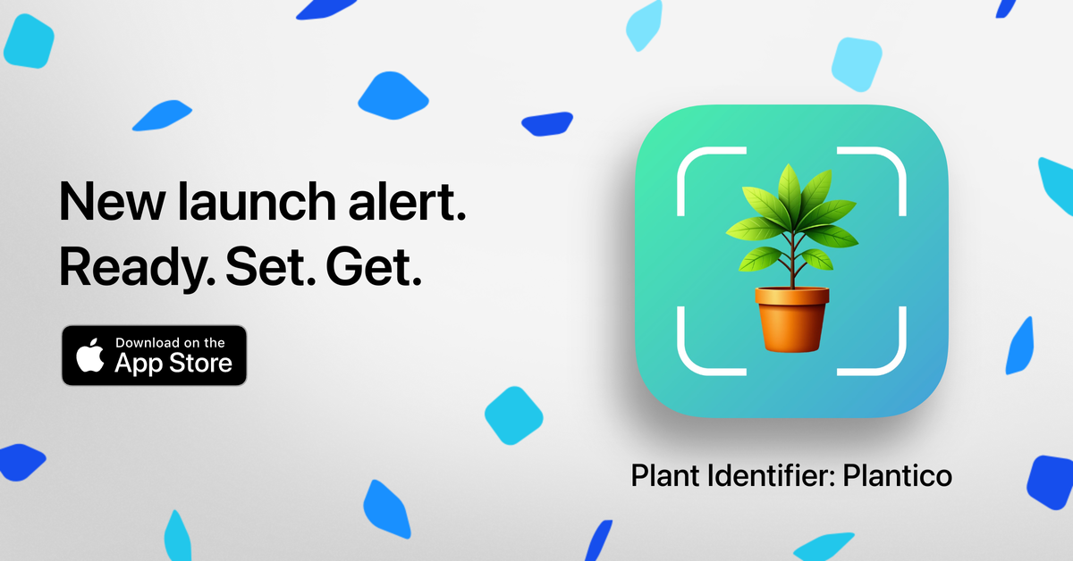 App Card