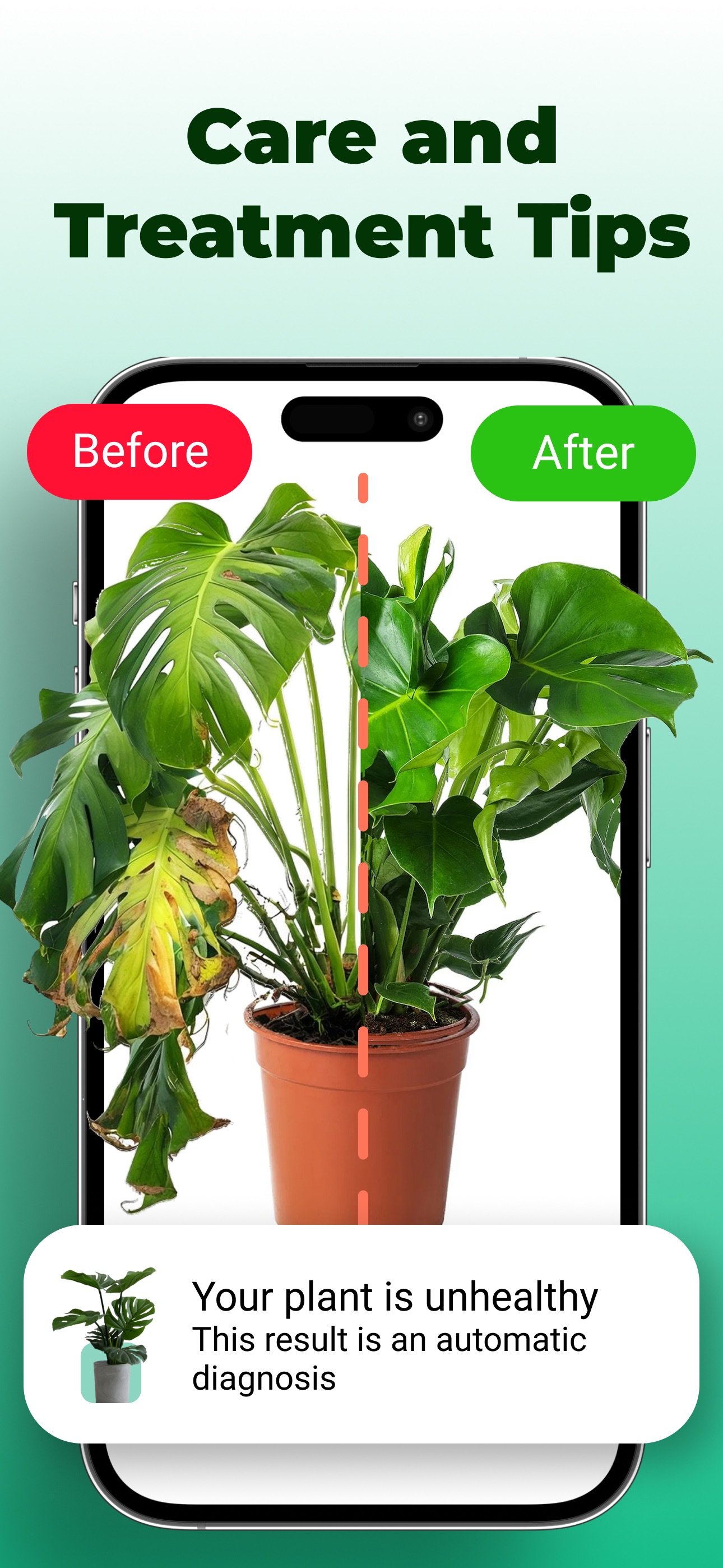 Plant care and treatment tips showing a monstera before and after recovery