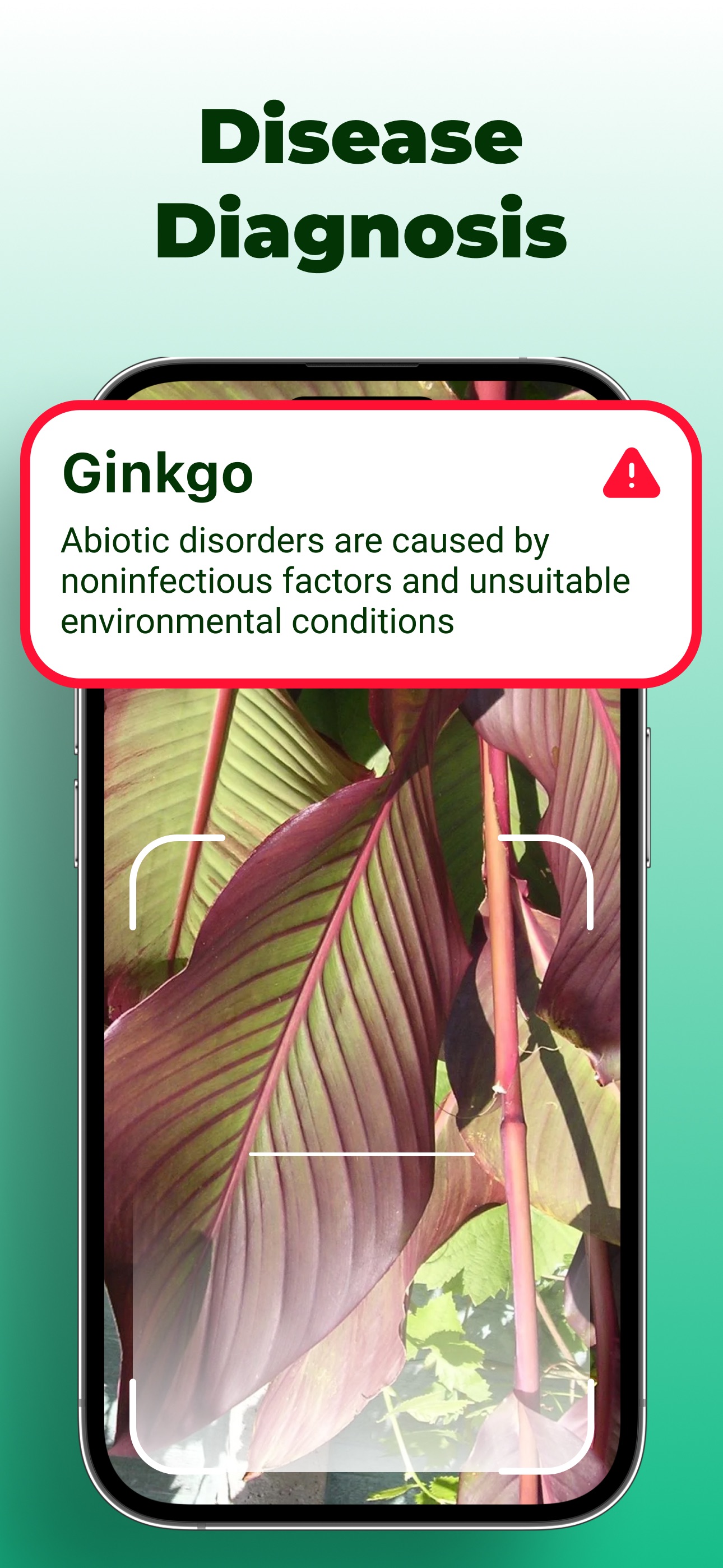 Plant disease diagnosis from a photo of ginkgo leaves showing abiotic disorder warning