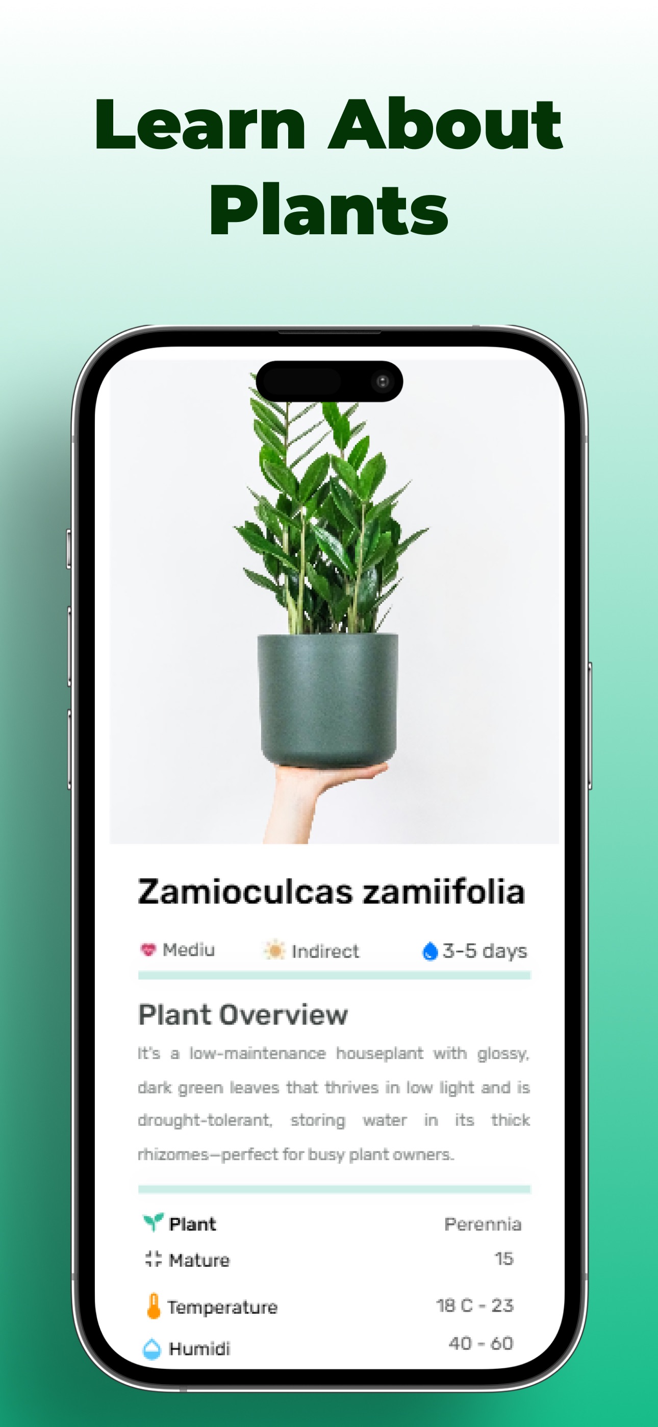 Plant encyclopedia entry for ZZ plant with light, water, temperature and humidity needs